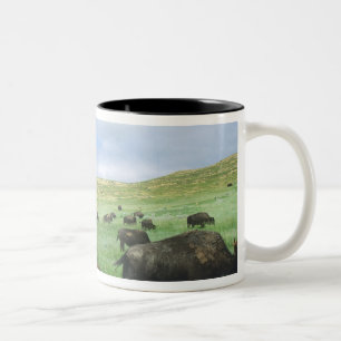 Tasse 2 Couleurs Un troupeau de bisons broutent l'herbe de prairie 