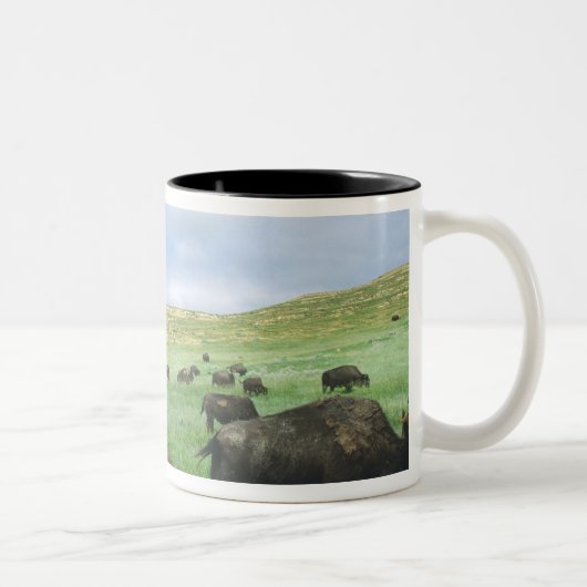 Tasse 2 Couleurs Un troupeau de bisons broutent l'herbe de prairie (Droit)