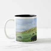 Tasse 2 Couleurs Un troupeau de bisons broutent l'herbe de prairie (Gauche)