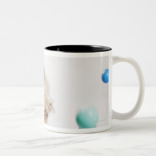 Tasse 2 Couleurs Un Waterdog portugais sautant parmi la chute