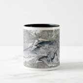 Tasse 2 Couleurs Une couverture de glace relativement rare (Centre)