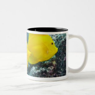 Tasse 2 Couleurs Une paire de saveurs jaunes
