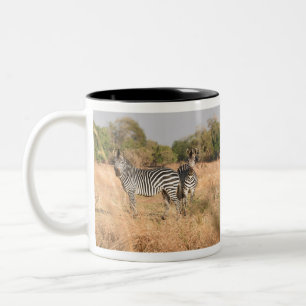 Tasse 2 Couleurs Une Paire De Zèbres À L'Attention Dans Le Zambèze