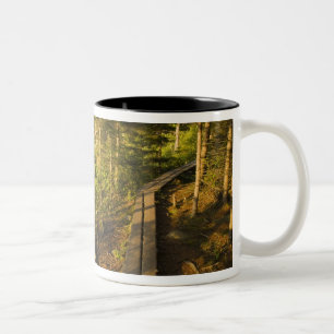 Tasse 2 Couleurs Une passerelle en bois dans le parc national d'Aca