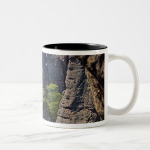 Tasse 2 Couleurs Une promenade à travers les ruines du château de B