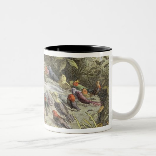 Tasse 2 Couleurs Une répétition dans la terre féerique, (Droit)
