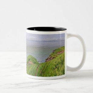 Tasse 2 Couleurs Une vue d'Ailsa Craig et l'île d'Arran, 1860
