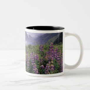 Tasse 2 Couleurs USA, Oregon, Nesika Beach. Lupine et Oregon