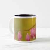 Tasse 2 Couleurs USA, Virginie, Arlington, fermeture rose (Devant gauche)