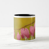Tasse 2 Couleurs USA, Virginie, Arlington, fermeture rose (Centre)