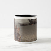 Tasse 2 Couleurs USA, Washington, Olympic National Park, Rialto 2 (Centre)