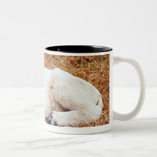 Tasse 2 Couleurs Vache à bébé, veau (Droit)