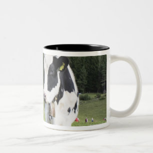 Tasse 2 Couleurs Vache dans un pré, Fie Sciliar Allo, alto l'Adige