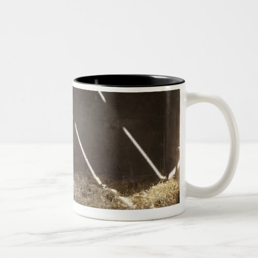 Tasse 2 Couleurs Vache laitière (Droit)