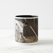Tasse 2 Couleurs Vache laitière (Centre)