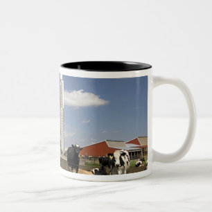 Tasse 2 Couleurs Vaches devant une grange rouge et un silo dans une