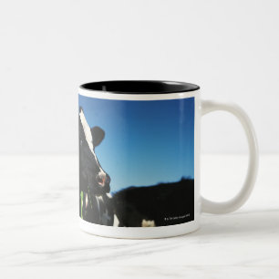 Tasse 2 Couleurs Vaches du Holstein dans un domaine
