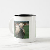 Tasse 2 Couleurs Vaches du Jersey (Devant gauche)