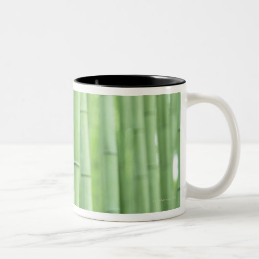 Tasse 2 Couleurs Verger en bambou (Droit)