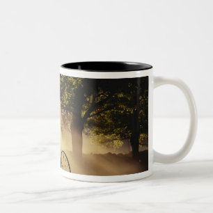 Tasse 2 Couleurs Vermont, Northeast Kingdom, Lumière du soleil