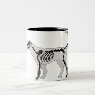 TASSE 2 COULEURS VÉTÉRINAIRE DE RAYON X D'ANATOMIE DE CHIEN