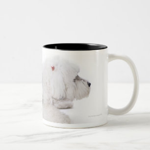Tasse 2 Couleurs Vieux chien de berger anglais sur l'arrière - pla