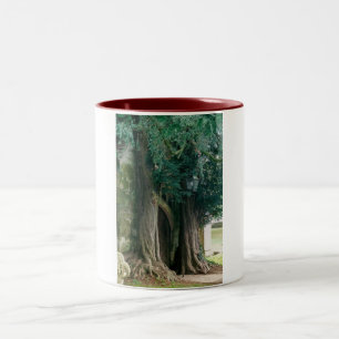 Tasse 2 Couleurs Vieux ifs