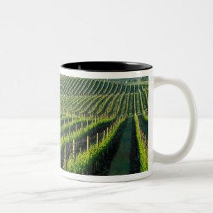 Tasse 2 Couleurs Vignes en rangées nettes dans le Napa en Californi
