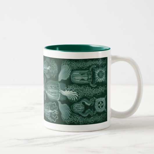 Tasse 2 Couleurs Vintage Haeckel (Droit)