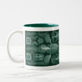 Tasse 2 Couleurs Vintage Haeckel (Gauche)