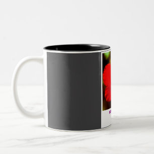 Tasse 2 Couleurs Vintage voyage Hawaï
