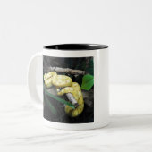 Tasse 2 Couleurs Vipère de cil (Devant gauche)