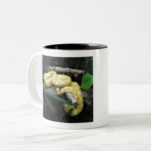 Tasse 2 Couleurs Vipère de cil (Devant gauche)