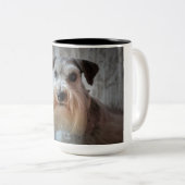 Tasse 2 Couleurs Visage de chien Schnauzer (Devant droit)