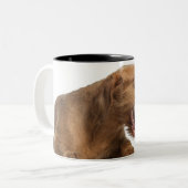 Tasse 2 Couleurs Vizsla baîllant devant l'au sol de dos de blanc (Devant gauche)