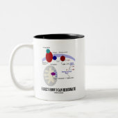 Tasse 2 Couleurs Voici comment je peux hiberner (Thermogenesis) (Gauche)