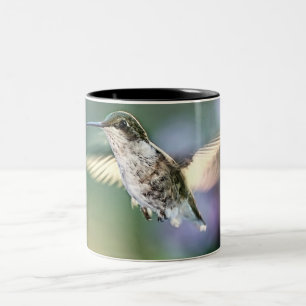 Tasse 2 Couleurs Vol de colibri