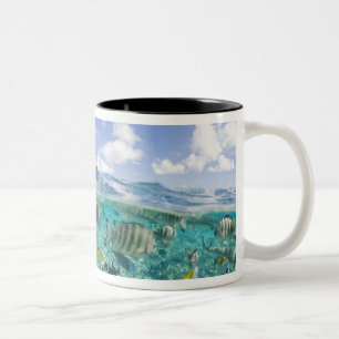 Tasse 2 Couleurs voyage safari dans la lagune avec des raies
