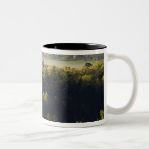 Tasse 2 Couleurs Vue aérienne de la forêt à Cades Cove, Great Smoky