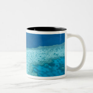 Tasse 2 Couleurs Vue aérienne de la Grande Barrière de corail par l