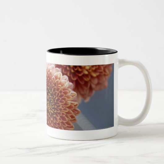 Tasse 2 Couleurs Vue courbe des fleurs dans un vase (Droit)