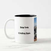 Tasse 2 Couleurs Vue de Central Park (Gauche)