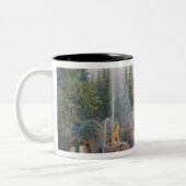 Tasse 2 Couleurs Vue de la cascade marneuse (Gauche)