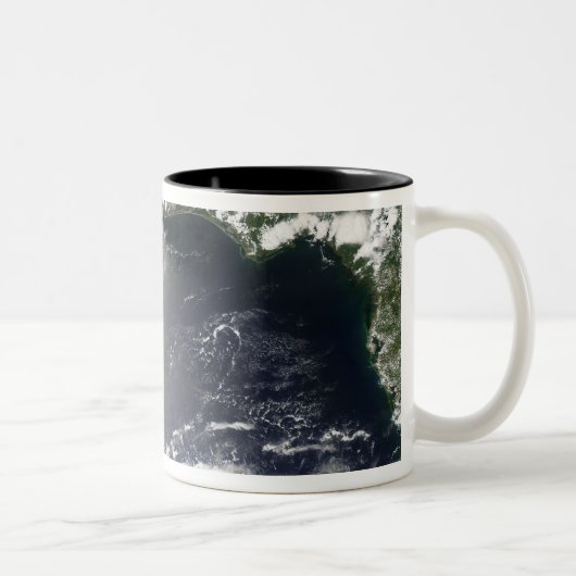 Tasse 2 Couleurs Vue satellite des fuites d'huile (Droit)
