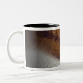 Tasse 2 Couleurs Vue simulée de Mars (Gauche)