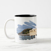 TASSE 2 COULEURS VUES DES ALLES (Gauche)