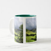 TASSE 2 COULEURS VUES DES ALLES (Devant gauche)