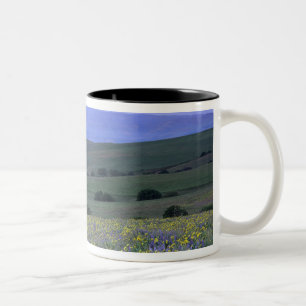 Tasse 2 Couleurs WA, comté de Klickitat, Dalles Mountain Ranch,
