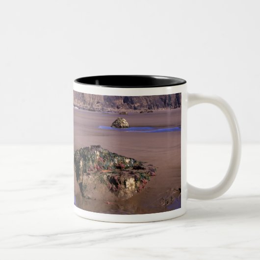 Tasse 2 Couleurs WA, Olympic NP, Second Beach avec piscines et (Droit)