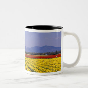 Tasse 2 Couleurs WA, Skagit Valley, Skagit Valley Tulip 2